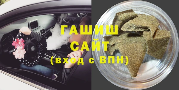 тгк Ельня