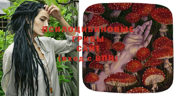 МДМА Снежногорск