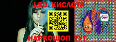 spice Кингисепп