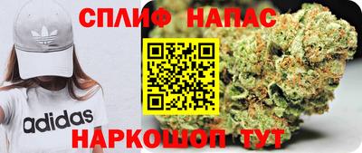 spice Кингисепп