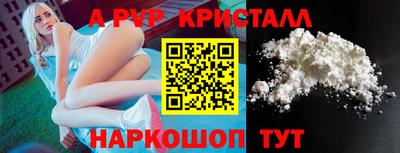 spice Кингисепп