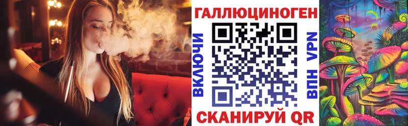 kraken как войти цены Буйнакск Псилоцибиновые грибы Cubensis