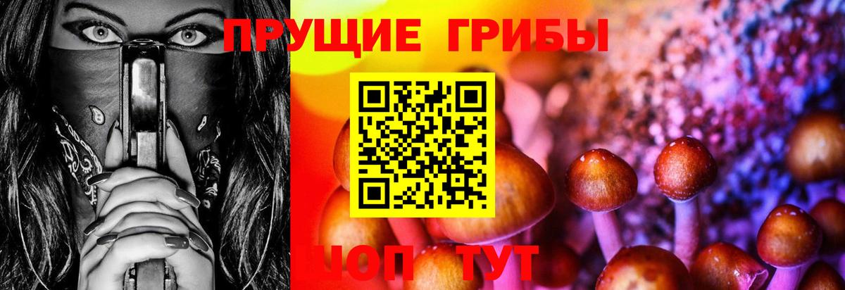 Буйнакск  Галлюциногенные грибы прущие грибы  Вход с VPN 
